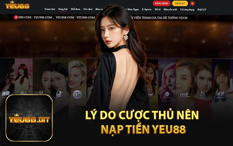 Thực hiện đúng theo các bước bên dưới: